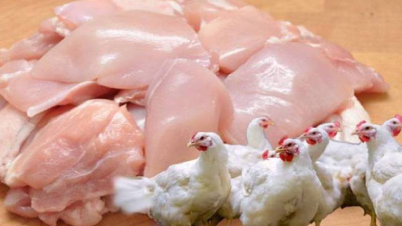 برائلر گوشت کی قیمتوں میں اضافے کی حقیقت سامنے، بڑی کارروائی کے نتائج
