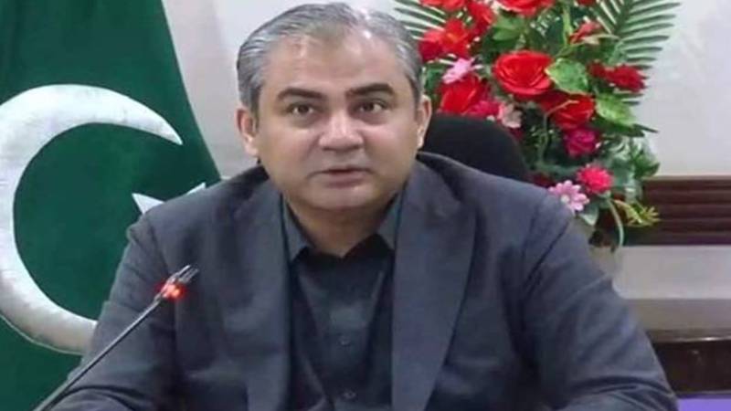 محنت کشوں کی جدوجہد معیشت کو مضبوط بناتی ہے: محسن نقوی