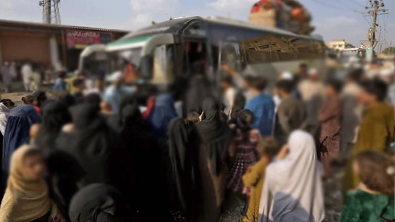 پنجاب میں غیرقانونی مقیم افراد کے خلاف مہم: اب تک 12,945 افراد ملک بدر