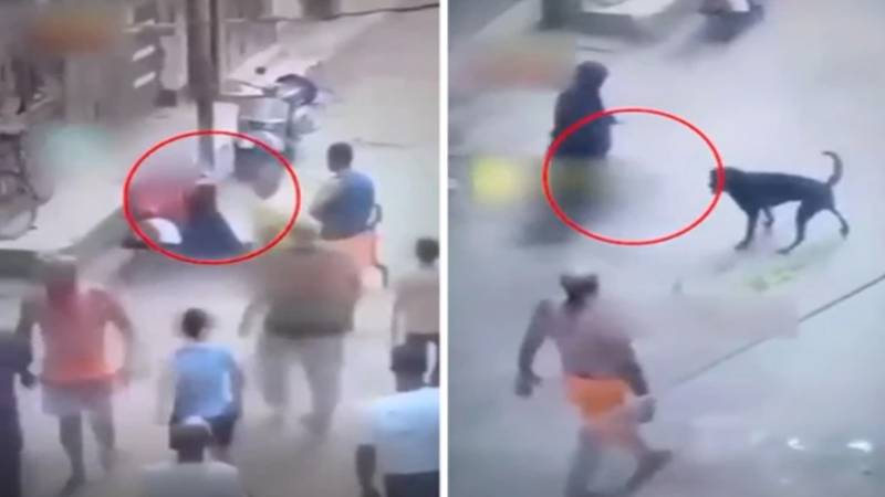 بھارت میں مسلمان عورت پر ہندو انتہا پسندوں کا سرعام ظلم: انسانیت شرمندہ