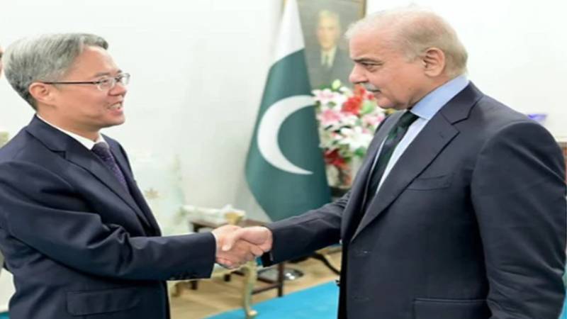 وزیراعظم شہباز شریف اور چینی سفیر کی ملاقات، جنوبی ایشیا میں امن و استحکام پر زور