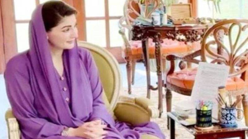 پاک نیدر لینڈ کے مابین معاشی تعاون کے فروغ کے وسیع امکانات موجود ہیں؛ مریم نواز