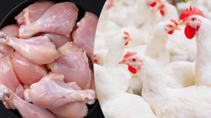 لاہور میں برائلر گوشت کی قیمت فی کلو 500 روپے سے 520 روپے تک پہنچ گئی