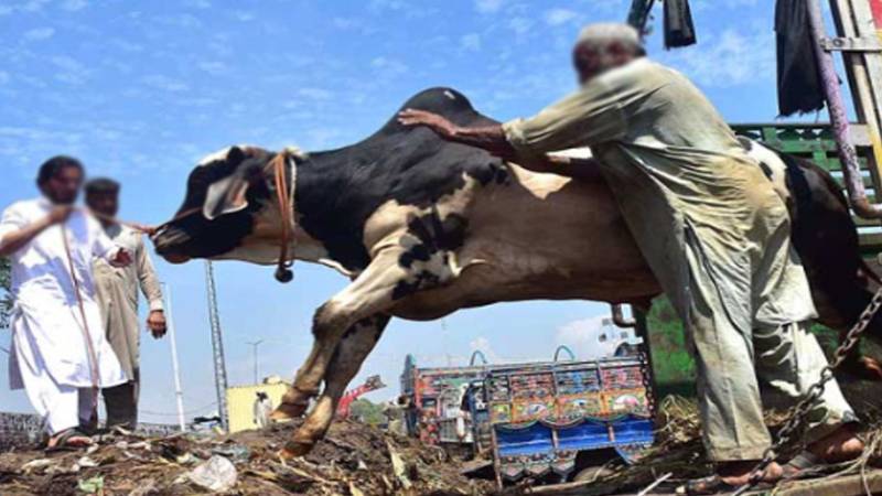 کراچی سپر ہائی وے پر ڈکیتی: جانور خریدنے جانے والے قصابوں سے 95 لاکھ روپے لوٹ لیے گئے