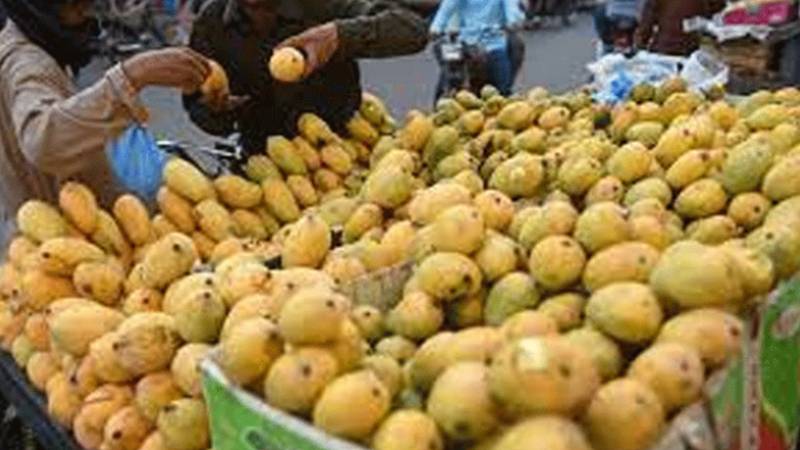 علی پور میں آم کے باغات بیماریوں کی لپیٹ میں، پیداوار میں کمی کا خدشہ