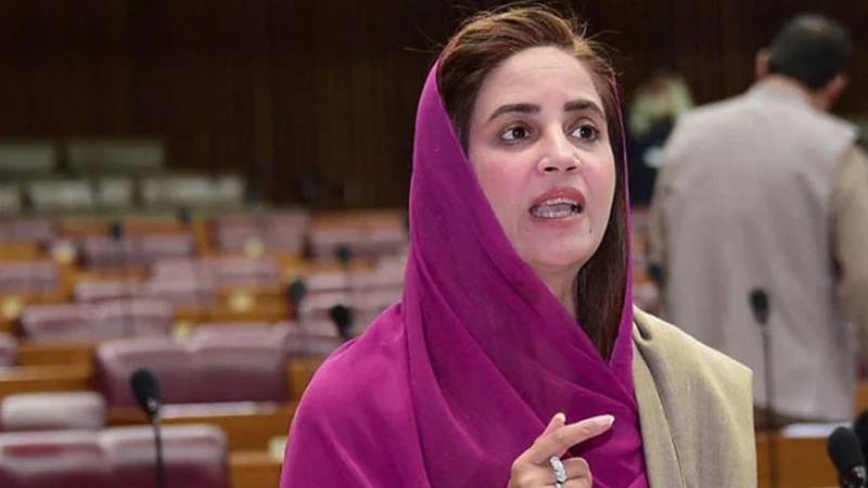 حکومت اے پی سی اور بانی پی ٹی آئی کو بلائے، زرتاج گل