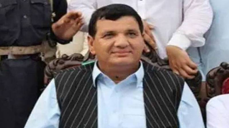 پاکستان نے دنیا پر اپنی مضبوطی ثابت کر دی: وفاقی وزیر امیر مقام