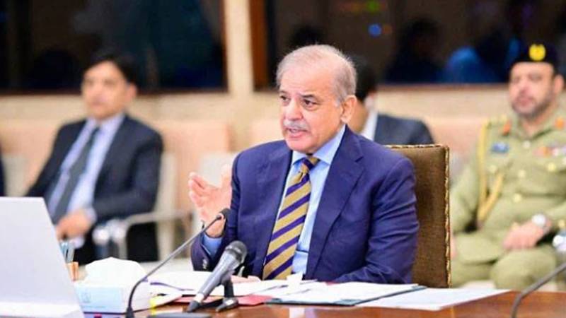 ترک عسکریت پسند تنظیم کردستان ورکرز پارٹی کی تحلیل پر وزیراعظم شہباز شریف کا خیر مقدم