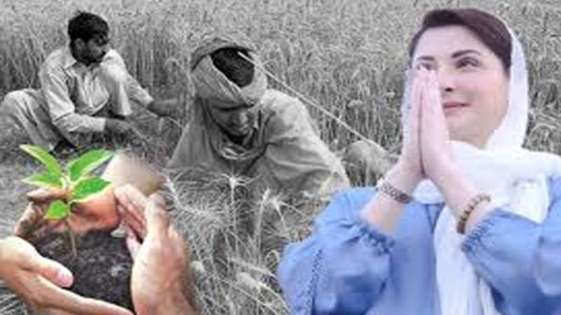 کاشتکاروں کو اربوں کی سبسڈی دینے کا فیصلہ، مریم نواز کی منظوری