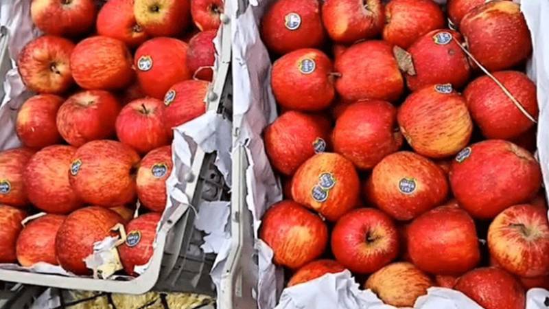 ترکیہ کی پاکستان کی حمایت، بھارت میں ترک سیبوں کا بائیکاٹ شروع