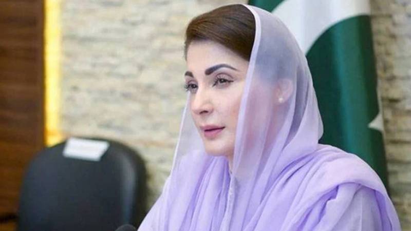 پوری قوم نے ایک سیسہ پلائی دیوار کی طرح ملکی سلامتی میں حصہ ڈالا، وزیراعلیٰ پنجاب