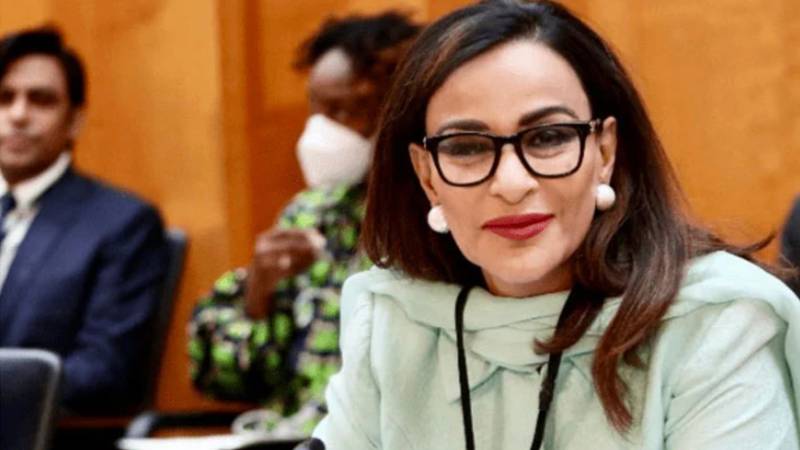 بھارت میں شیری رحمان کا سوشل میڈیا اکاؤنٹ بلاک، پاکستان کی مؤثر دفاعی حکمت عملی کا اعادہ