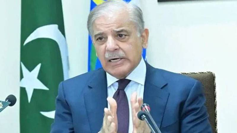 آرمی چیف کو فیلڈ مارشل بنانے کا فیصلہ میرا تھا: وزیراعظم شہباز شریف