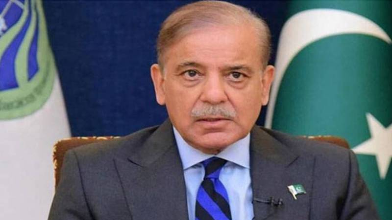 4 روزہ دورہ مکمل، وزیراعظم شہباز شریف دوشنبے سے اسلام آباد واپس پہنچ گئے