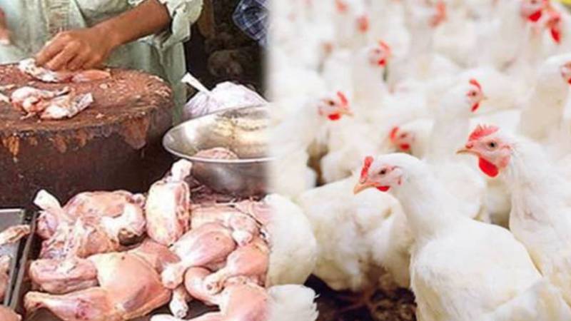 ملک بھر میں برائلر گوشت اور انڈوں کی قیمتوں میں بے تحاشا اضافہ، صارفین شدید پریشان