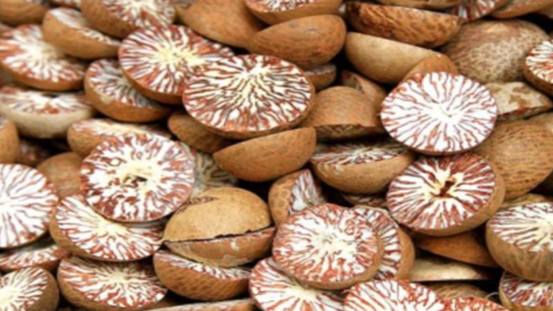 خوردنی تیل کے ٹینکر میں چھپایا گیا مضر صحت چھالیہ اسمگلنگ کا بڑا نقاب کشا، کراچی منتقلی روک دی گئی
