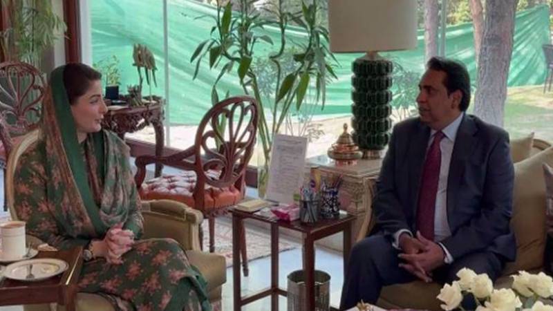 اوورسیز پاکستانی وطن کا سرمایہ ہیں، مسائل ترجیحی بنیادوں پر حل کیے جائیں: مریم نواز