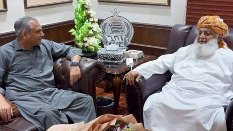 وفاقی وزیر داخلہ محسن نقوی کی مولانا فضل الرحمان سے ملاقات، ملکی اور خطے کی صورتحال پر تفصیلی تبادلہ خیال
