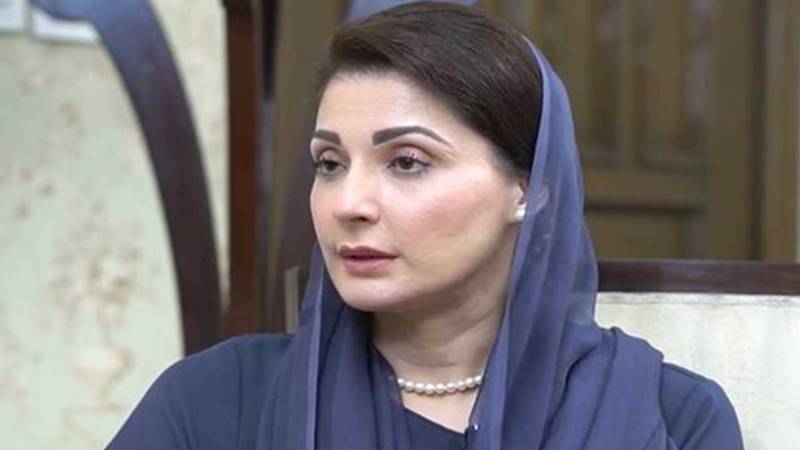 ماحولیات کی حفاظت ہم سب کی ذمہ داری ہے: مریم نواز