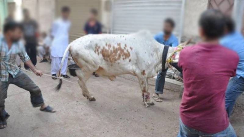 عیدالاضحیٰ 2025: پاکستان میں 74 لاکھ سے زائد جانوروں کی قربانی