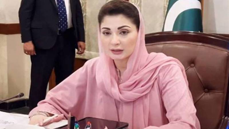 البینزم کوئی کمزوری نہیں، خوبصورتی کا ایک منفرد اظہار ہے: مریم نواز