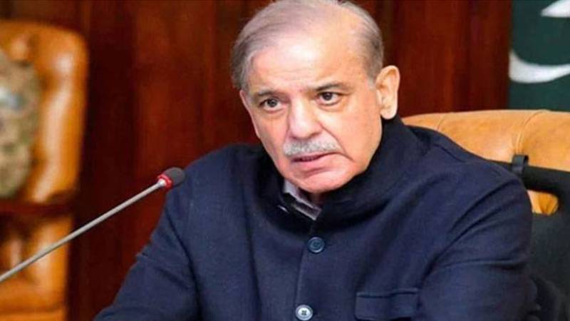 الیکٹرک گاڑیوں کے فروغ کے لیے فوری اقدامات کیے جائیں، وزیراعظم شہباز شریف