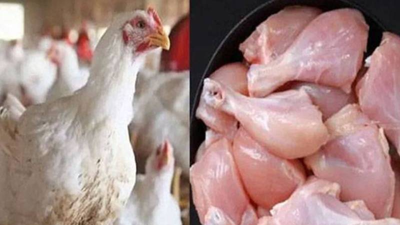 مرغی کی قیمت میں پھر اضافہ