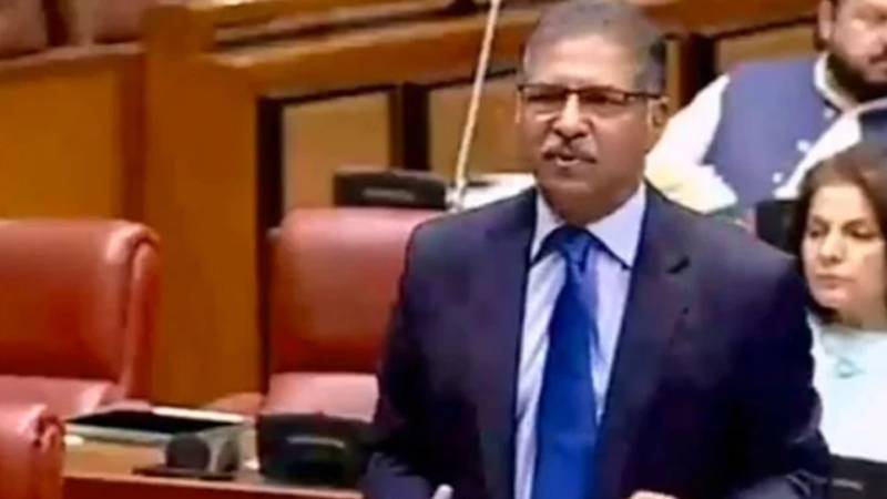 یہ بجٹ پاکستان کی تباہی کا باعث بنے گا، پی ٹی آئی حمایت نہیں کرے گی: سینیٹر علی ظفر