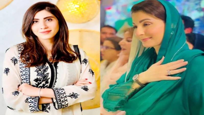 وزیراعلیٰ مریم نواز کو ٹیکس فری اور عوام دوست بجٹ پر خراجِ تحسین، پنجاب اسمبلی میں قرارداد جمع