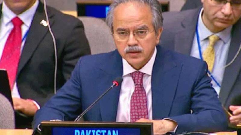 غزہ: پاکستان نے 55,000 اموات کو انسانیت پر دھبہ قرار دے دیا، جنرل اسمبلی میں سفیر عاصم افتخار کا شدید ردعمل