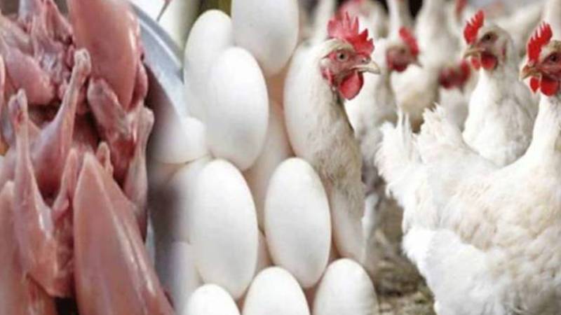 مرغی کا گوشت مہنگا ہوگیا، عوام پر مہنگائی کا ایک اور وار