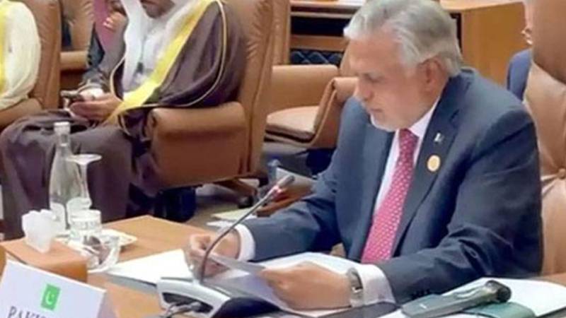 مسلم ممالک نے ایران کی سلامتی اور خطے کی خودمختاری کی حمایت کی ہے: اسحاق ڈار