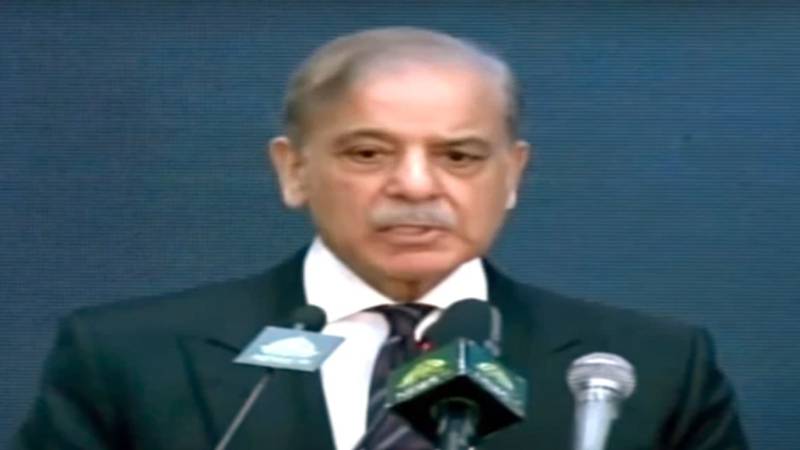 حکومت کی ترجیح برآمدات پر مبنی معیشت کا قیام ہے: شہباز شریف