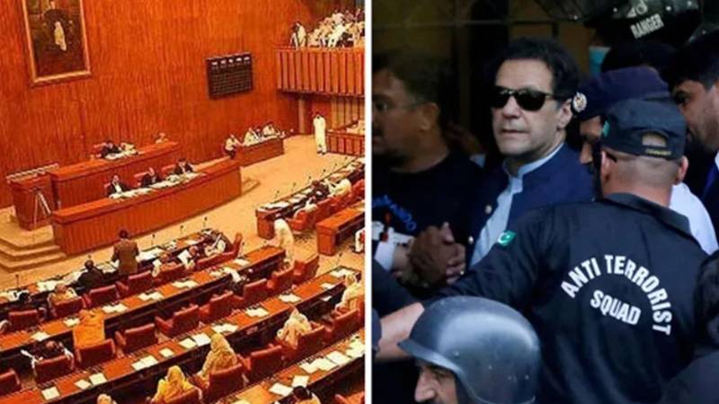 پی ٹی آئی ارکان نے بانی کی تصاویر ایوان سے ہٹا دیں، ڈپٹی چیئرمین کی وارننگ کارگر