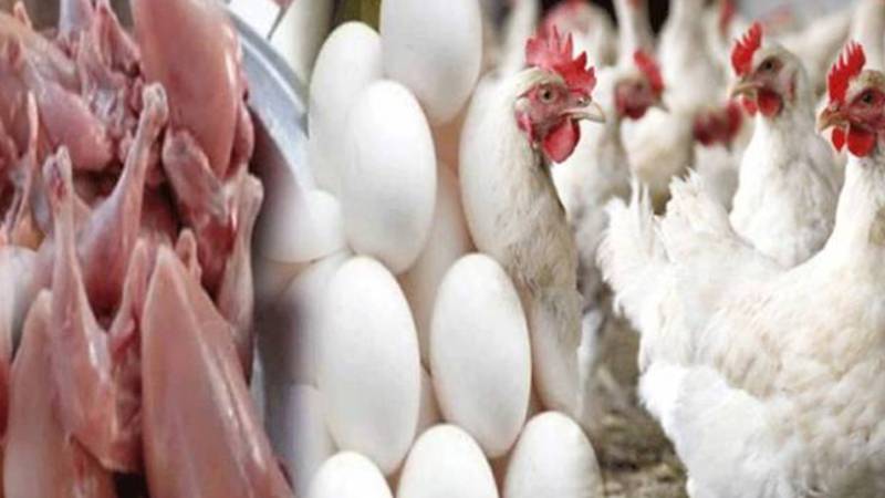 مرغی کے گوشت کی قیمت میں مسلسل اضافہ، لاہور میں نرخ 450 روپے فی کلو سے تجاوز کر گئے