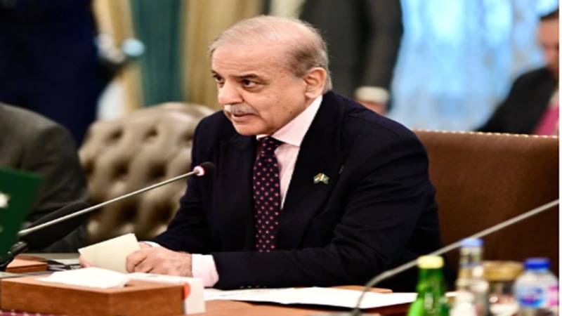  زراعت کی ترقی کے لیے آئندہ بجٹ میں کھاد اور زرعی ادویات پر ٹیکس نہیں لگے گا، وزیراعظم شہباز شریف