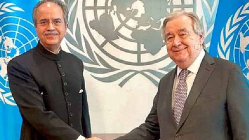 پاکستان اگلے ماہ اقوام متحدہ کی سلامتی کونسل کی صدارت سنبھالے گا