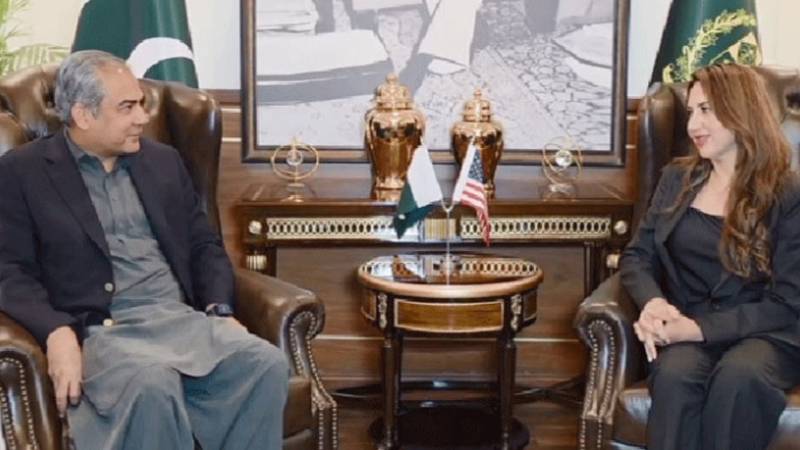 امید ہے ڈونلڈ ٹرمپ غزہ میں بھی جنگ بندی کرائیں گے: محسن نقوی