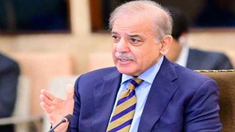 پارلیمنٹیرینز کا عالمی دن: جمہوریت کے فروغ کے لیے عزم دہرانے کا موقع ہے، وزیراعظم شہباز شریف