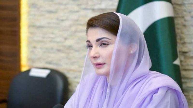 پارلیمانی نظام ریاست کی طاقت اور جمہوریت کا محور ہے: مریم نواز