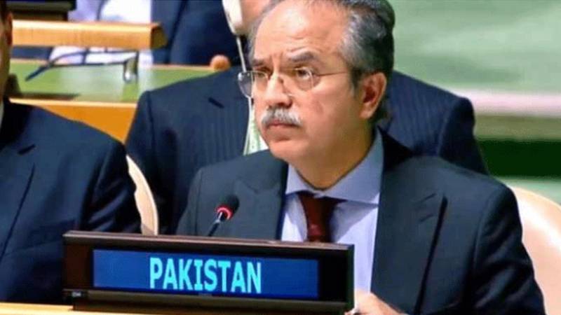 پاکستان کا اقوام متحدہ میں دوٹوک مؤقف: سلامتی کونسل غزہ میں اسرائیلی مظالم روکنے کے لیے فوری اقدام کرے