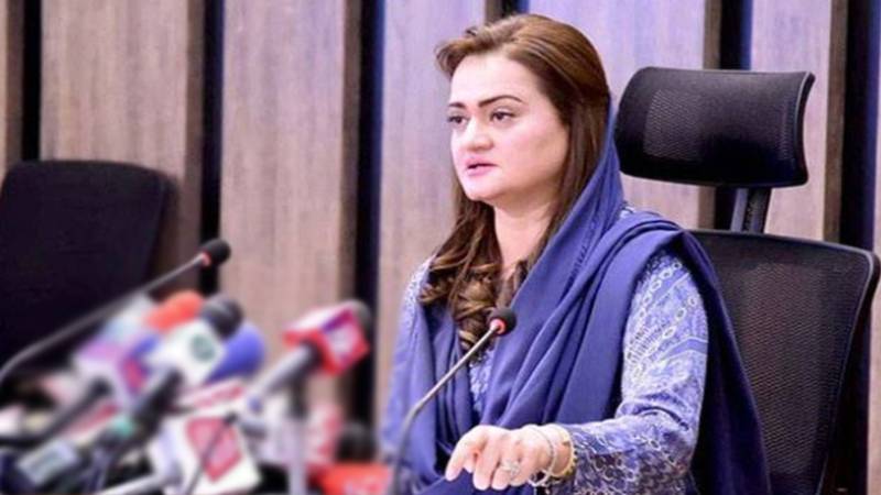 ٹمبر مافیا کے خلاف کارروائی، جنگلات کے تحفظ پر کوئی سمجھوتہ نہیں ہوگا: مریم اورنگزیب