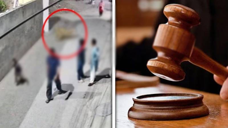 جوہر ٹاؤن شیر حملہ کیس: عدالت کا شیر کو سفاری پارک منتقل کرنے کا حکم، وائلڈ لائف کی کارروائی مکمل