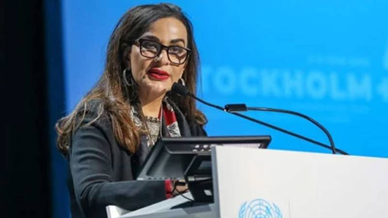 وفاقی بجٹ میں ماحولیاتی فنڈز نصف سے بھی کم کر دیے گئے، شیری رحمان