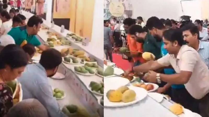 بھارت میں مینگو فیسٹیول لوٹ مار کا منظر بن گیا، عوام آموں پر ٹوٹ پڑے