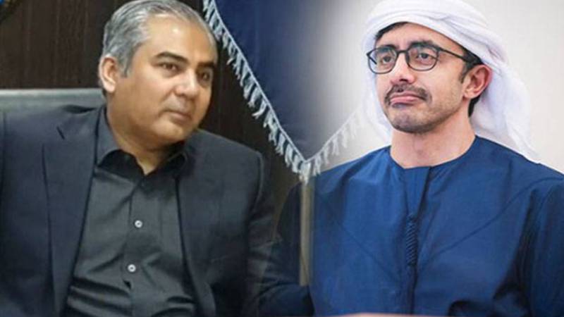محسن نقوی کی یو اے ای قیادت سے ملاقات، پاکستانیوں کے ویزا مسائل کے حل پر پیشرفت 