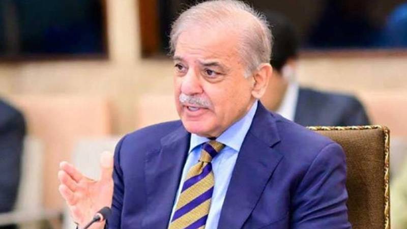 وزارتوں کی اصلاح کیلئے ماہرین کی خدمات حاصل کی جائیں، وزیراعظم شہباز شریف کی ہدایت