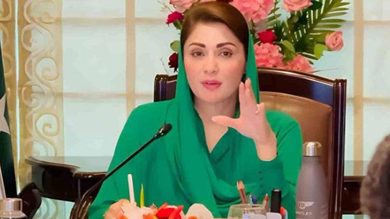 آبادی میں بے ہنگم اضافہ ملکی وسائل کیلئے سنگین چیلنج ہے، مریم نواز