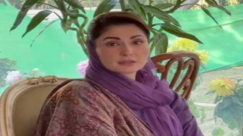 وزیراعلیٰ پنجاب مریم نواز: 