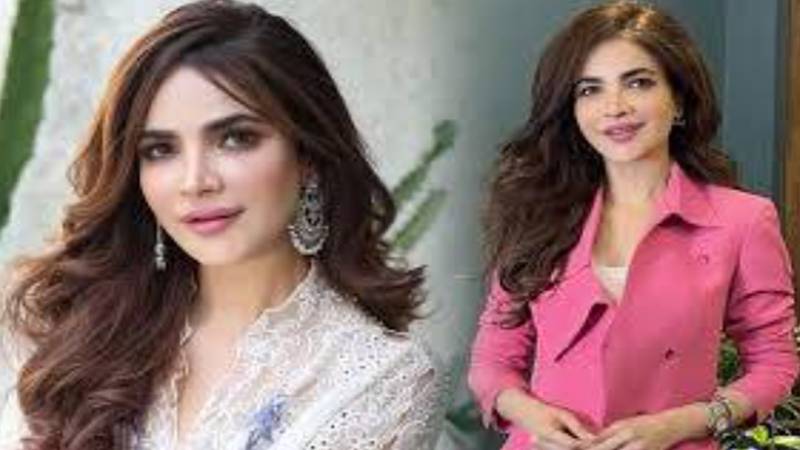 اداکارہ حمیرا اصغر مالی مشکلات کا شکار تھیں، دو شناختی کارڈز کا استعمال سامنے آ گیا: تفتیشی حکام 